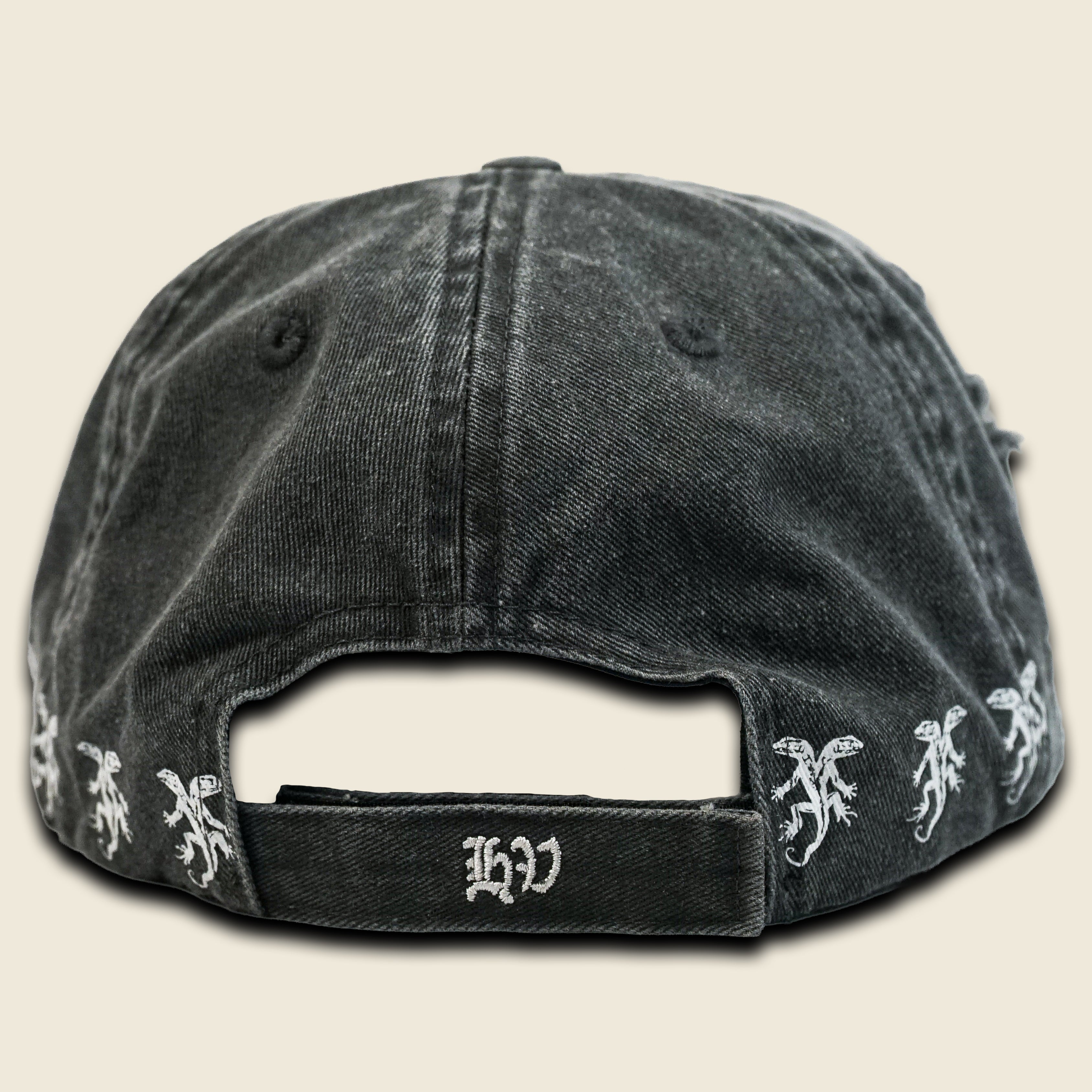 VISIT HOLIX VALLEY DISTRESSED DAD HAT
