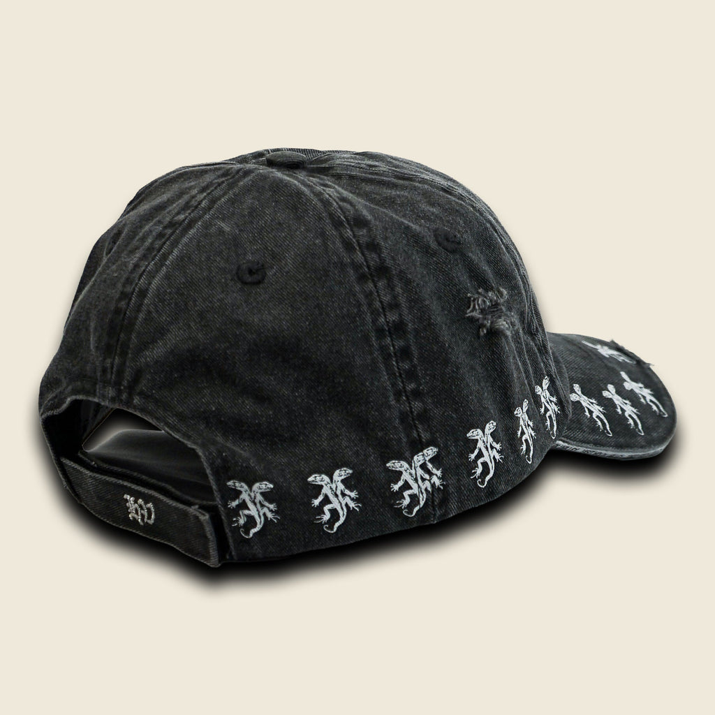 VISIT HOLIX VALLEY DISTRESSED DAD HAT