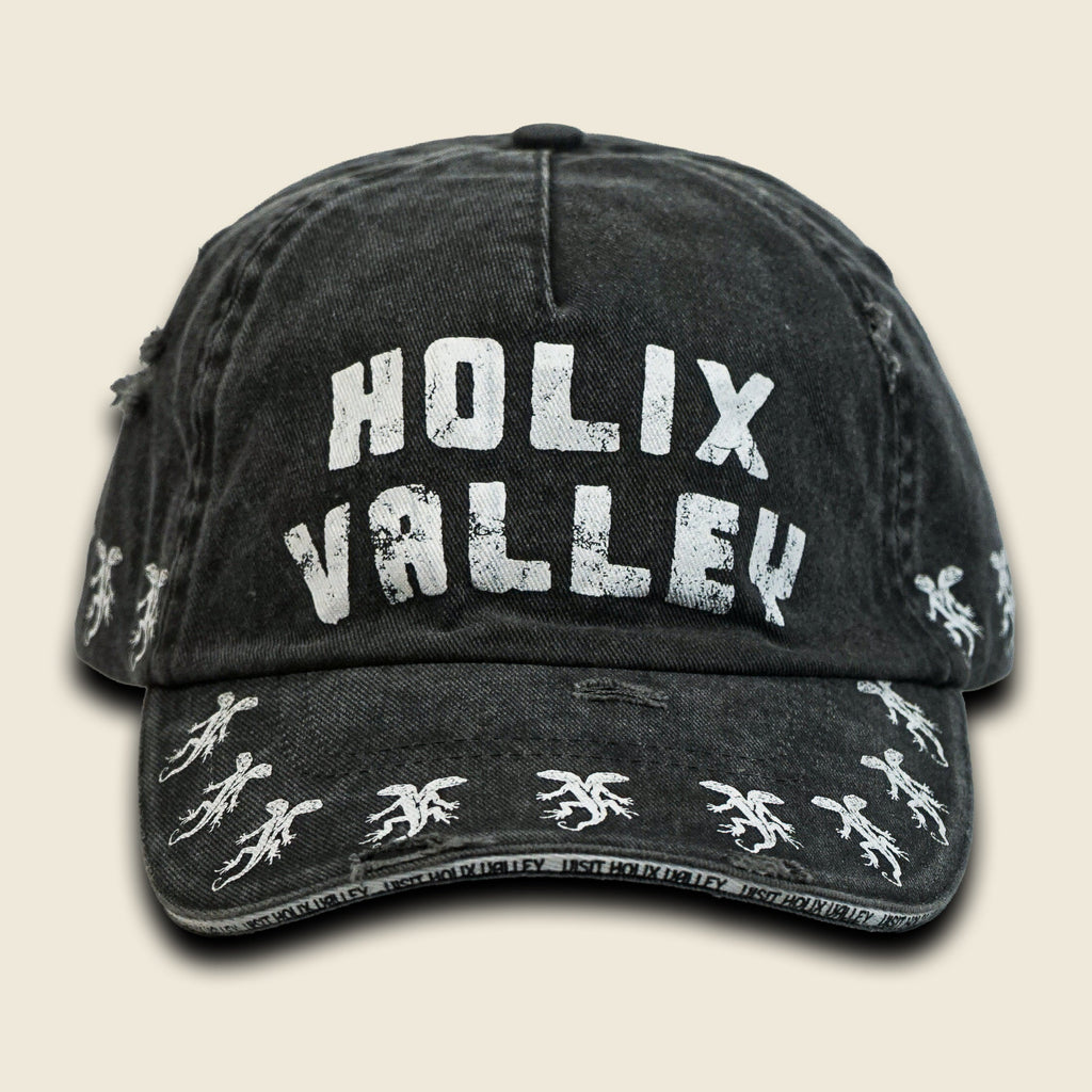 VISIT HOLIX VALLEY DISTRESSED DAD HAT