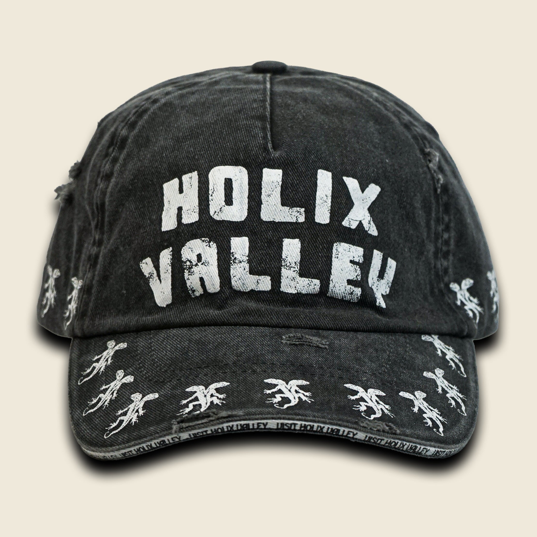 VISIT HOLIX VALLEY DISTRESSED DAD HAT
