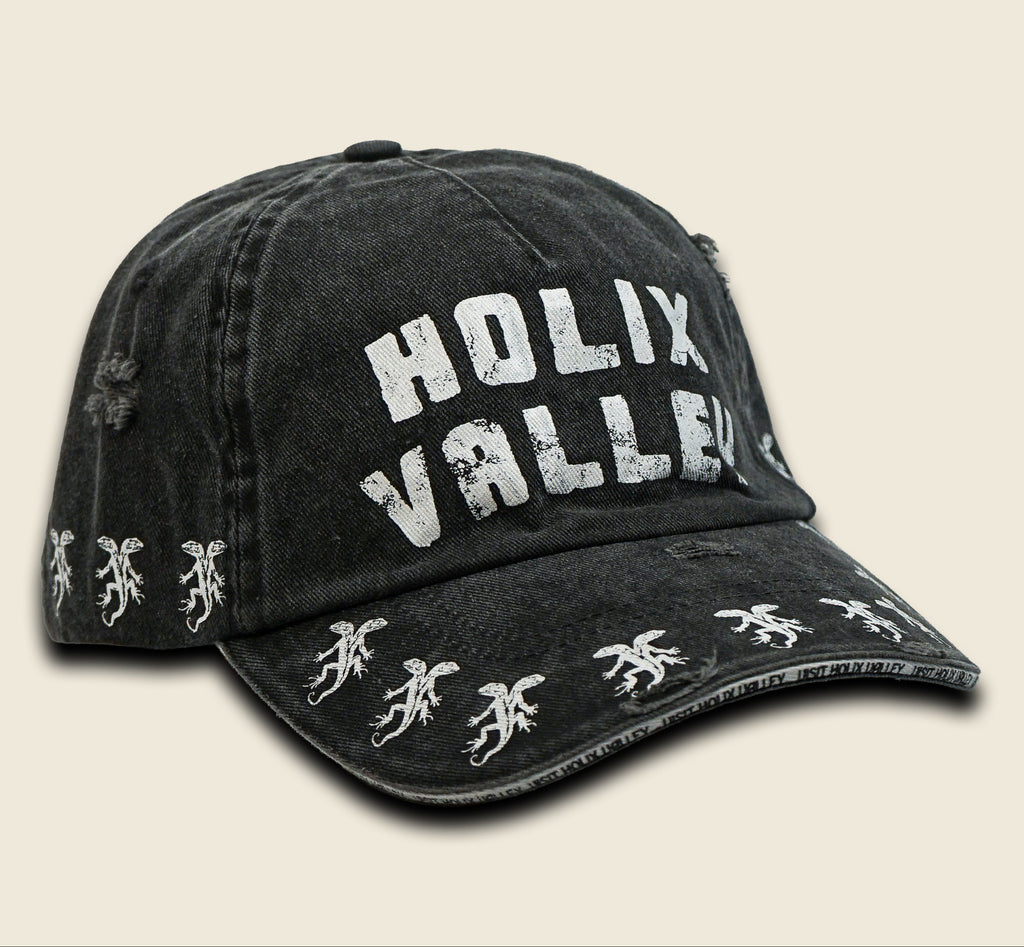 VISIT HOLIX VALLEY DISTRESSED DAD HAT