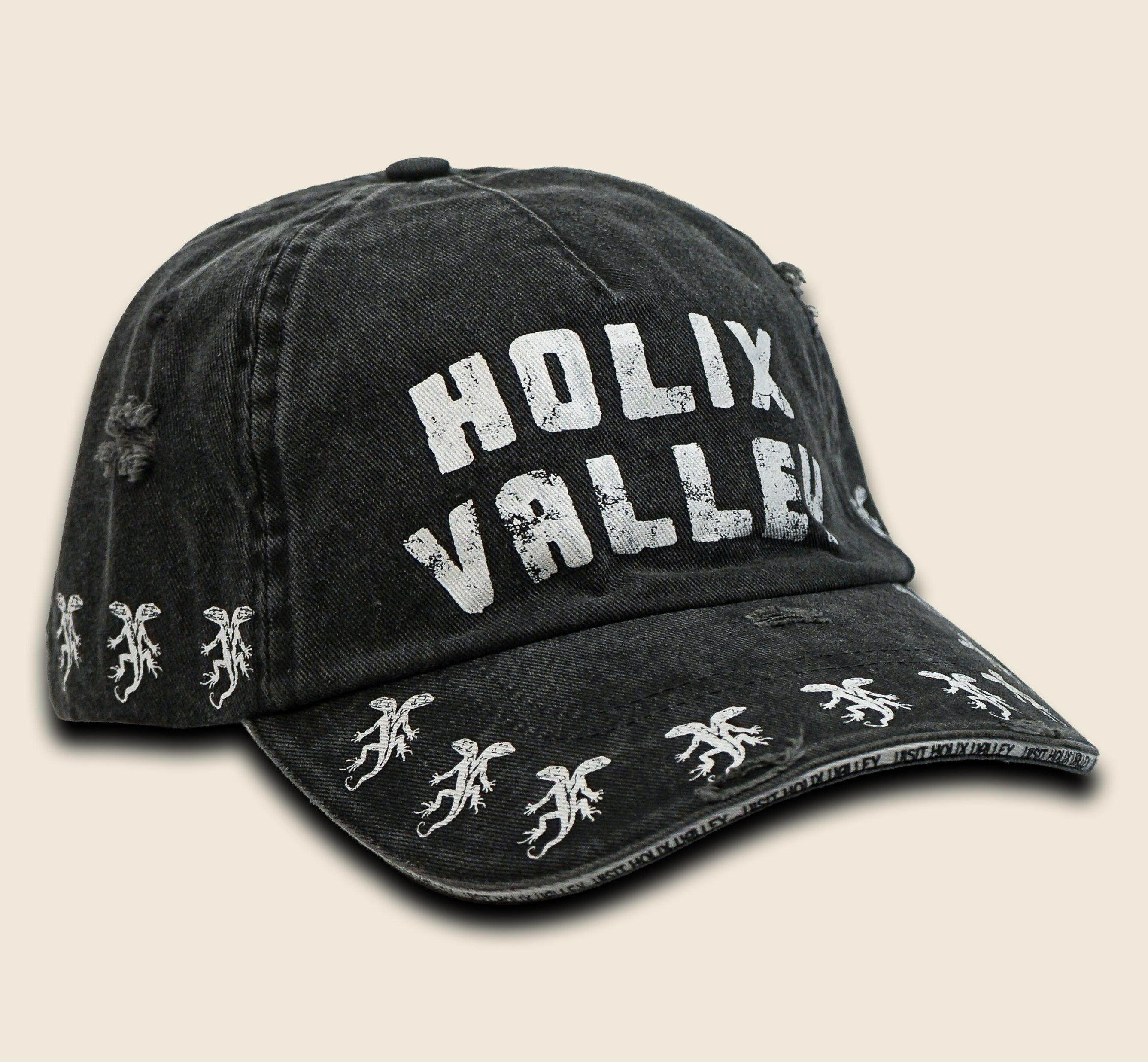VISIT HOLIX VALLEY DISTRESSED DAD HAT