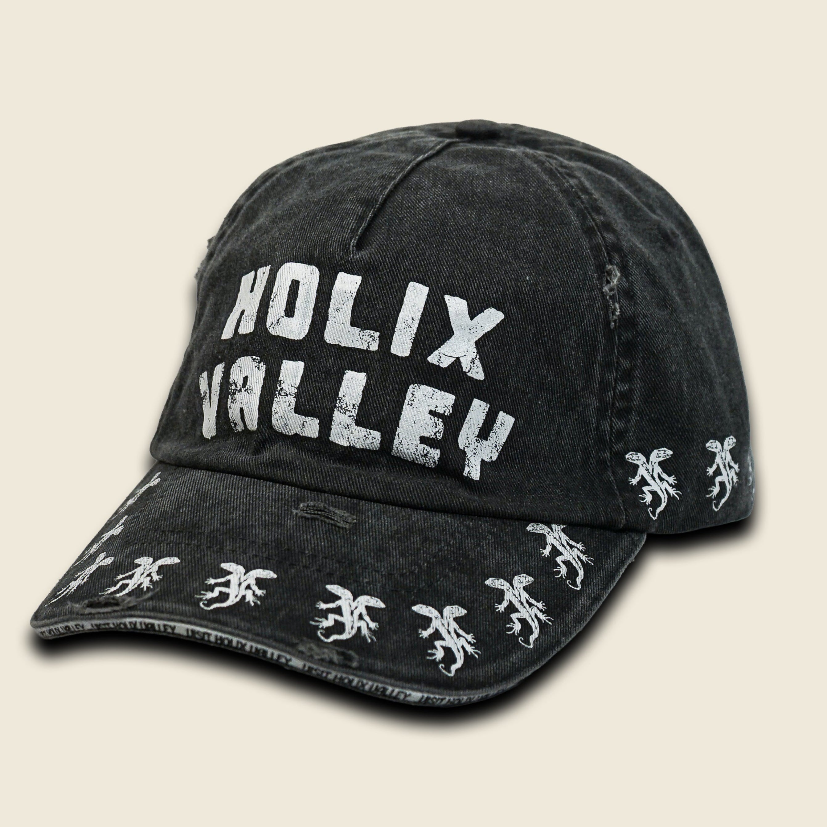 VISIT HOLIX VALLEY DISTRESSED DAD HAT
