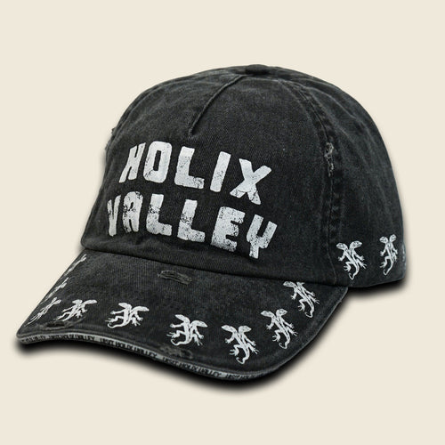 VISIT HOLIX VALLEY DISTRESSED DAD HAT