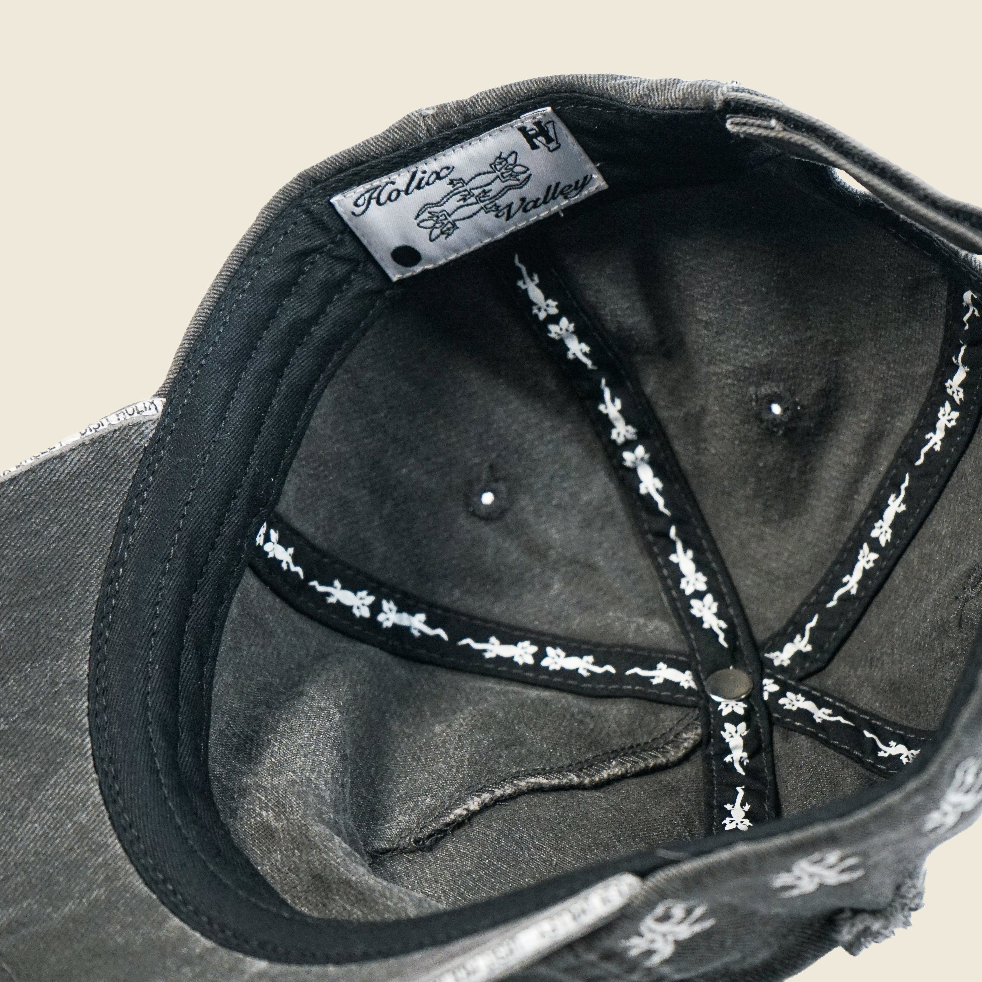 VISIT HOLIX VALLEY DISTRESSED DAD HAT
